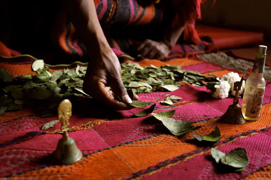 Reading of Coca Leaves