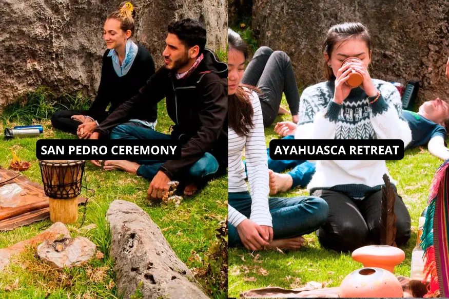 san pedro ceremony vs ayahuasca retreat