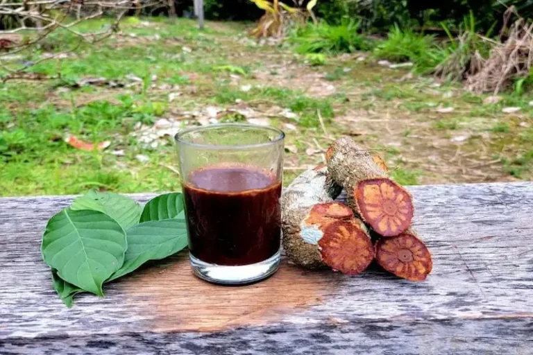 What is ayahuasca?