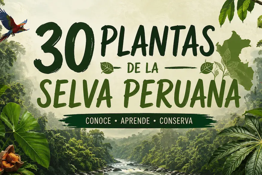 plantas de la selva peruana