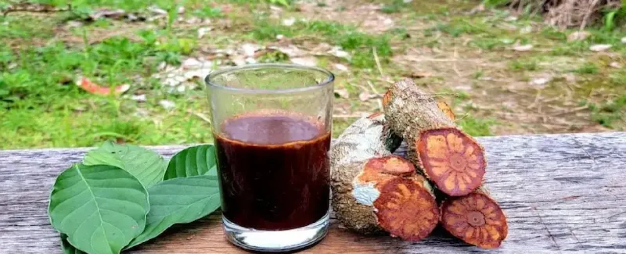 what is ayahuasca